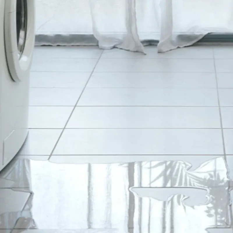 Appliance Leak Cleanup in Bloomington, IN