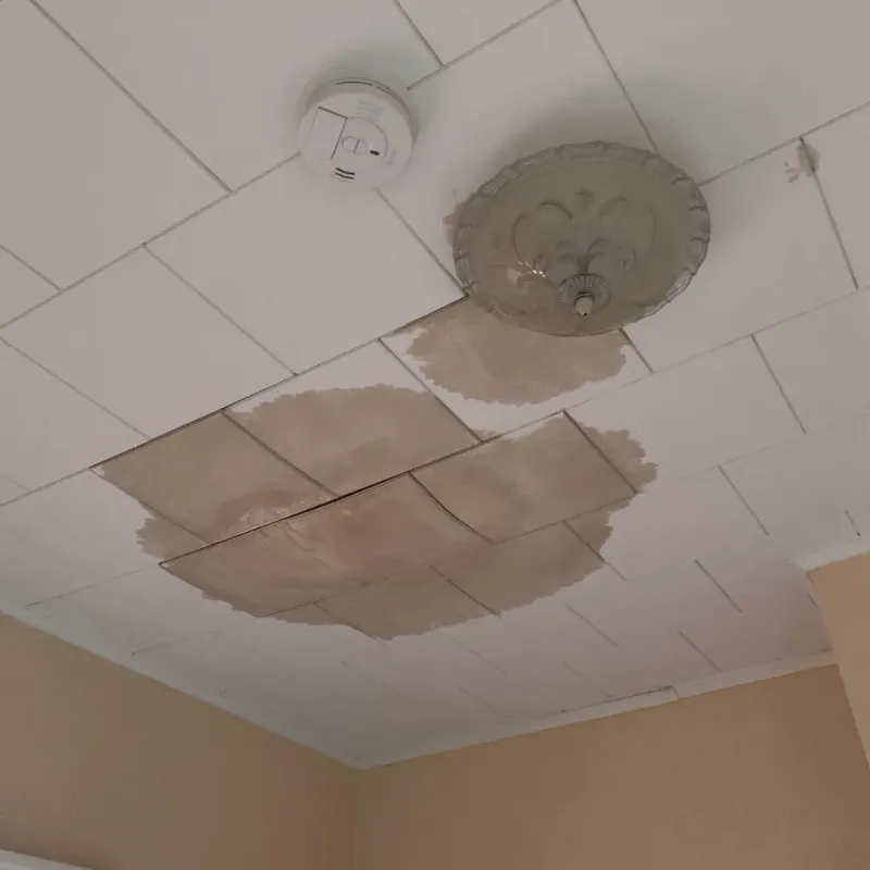 Ceiling Water Damage Repair in Bloomington, IN