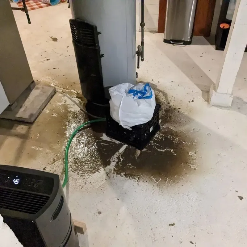 Sewage Backup Cleanup Service in Bloomington, IN